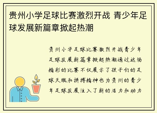 贵州小学足球比赛激烈开战 青少年足球发展新篇章掀起热潮