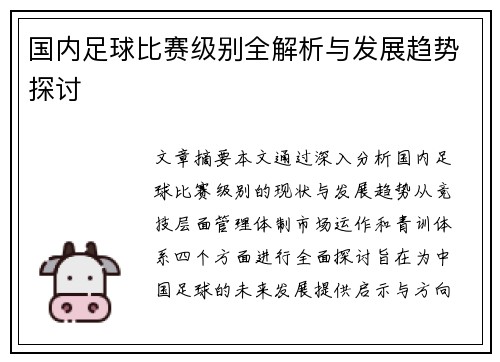 国内足球比赛级别全解析与发展趋势探讨
