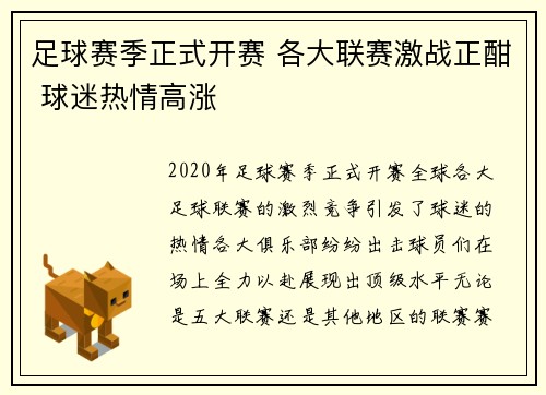 足球赛季正式开赛 各大联赛激战正酣 球迷热情高涨