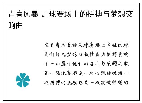 青春风暴 足球赛场上的拼搏与梦想交响曲