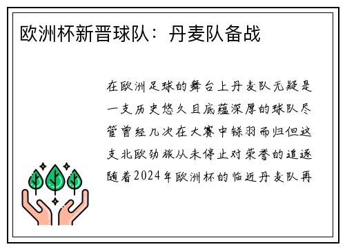 欧洲杯新晋球队：丹麦队备战