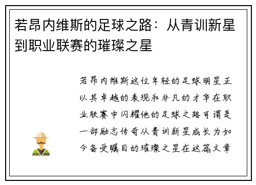 若昂内维斯的足球之路：从青训新星到职业联赛的璀璨之星